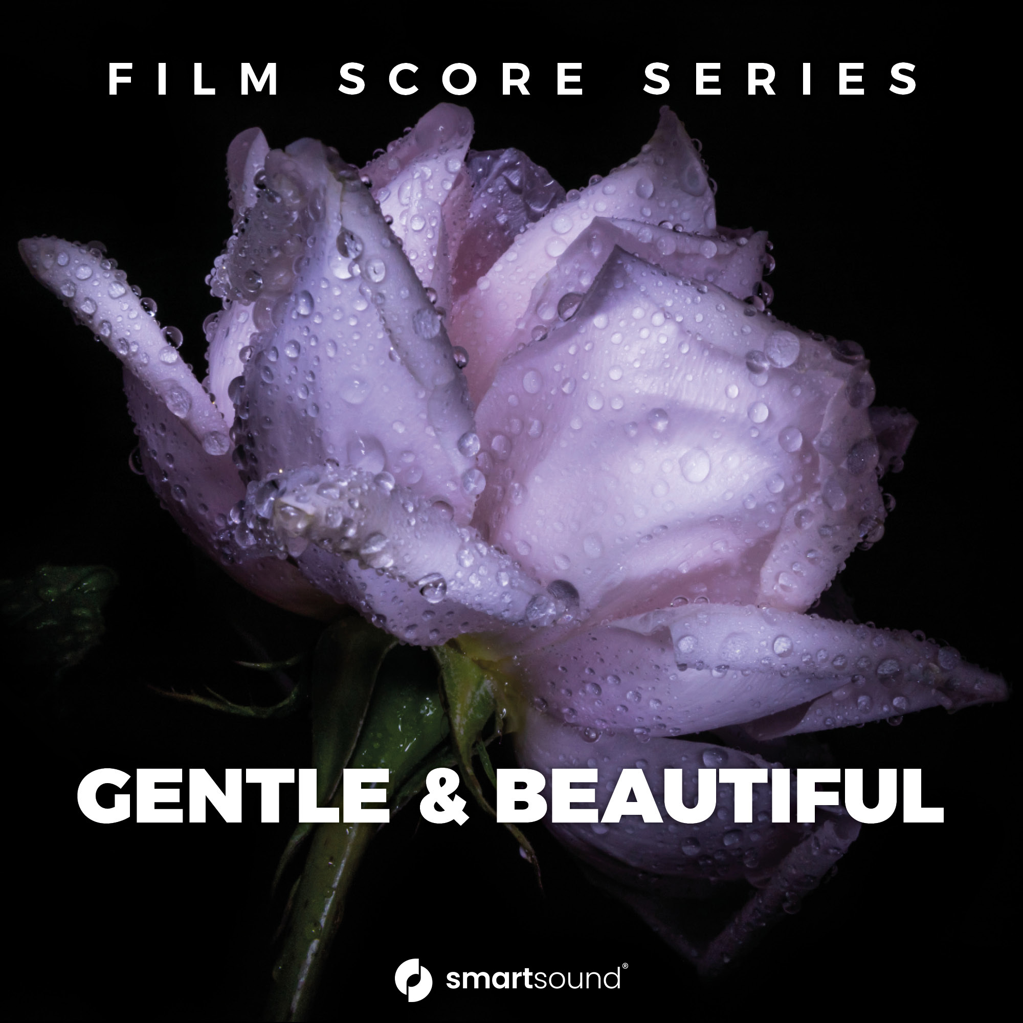 Gentle & Beautiful royalty free music