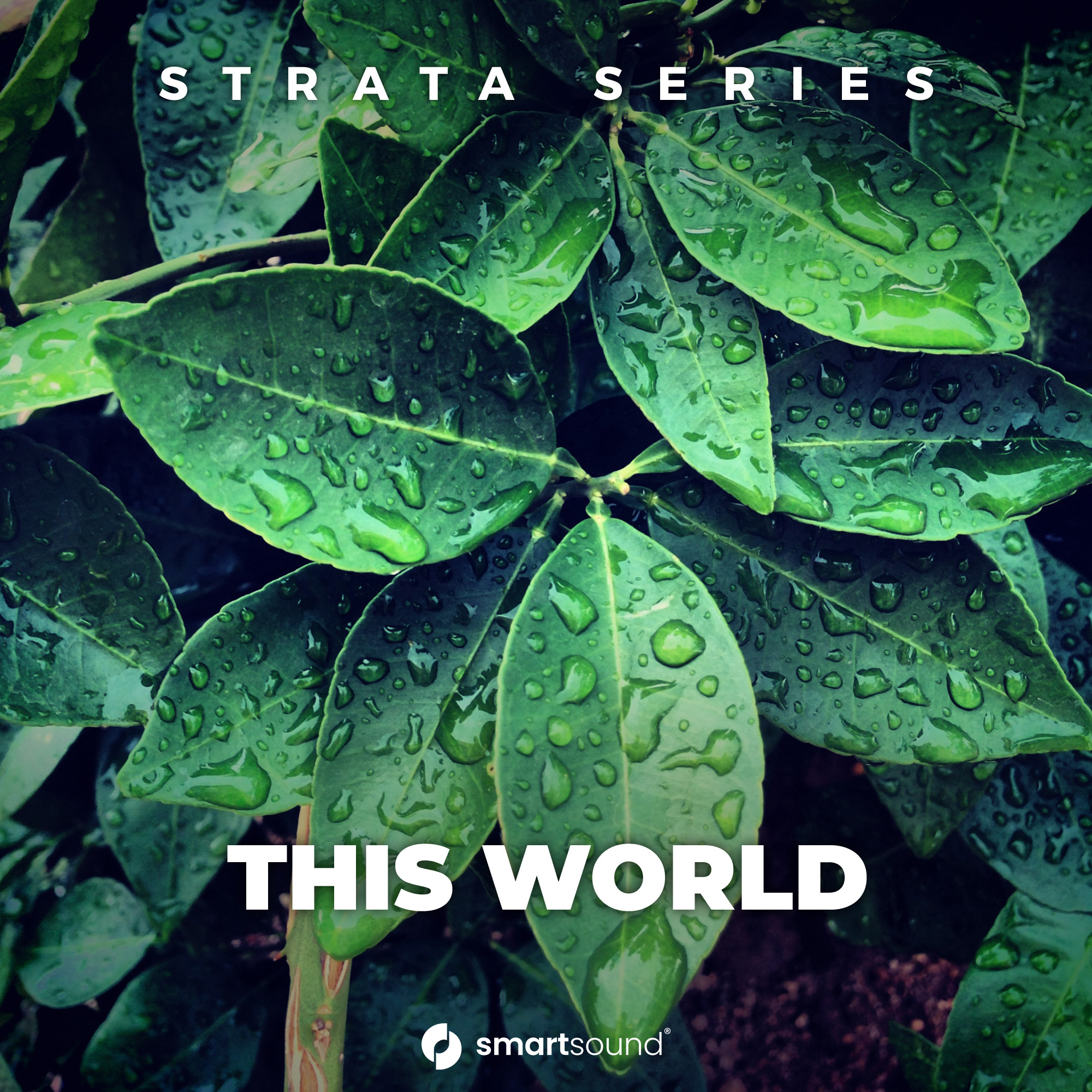 This World royalty free stock music