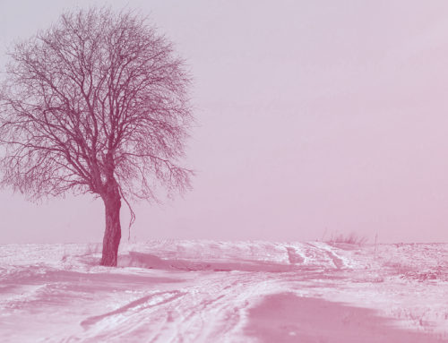 Top 5 Stock Music Albums for That Winter Spirit