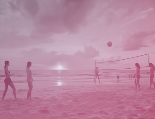 The Ultimate Summer Soundtrack in Stock Music
