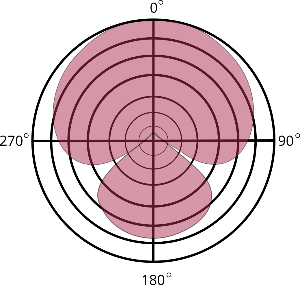 Hypercardioid microphone