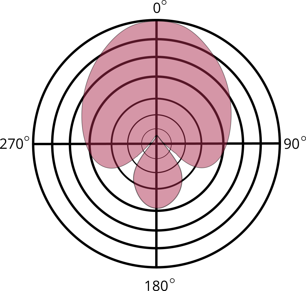 Polarity pattern of supercardioid microphones