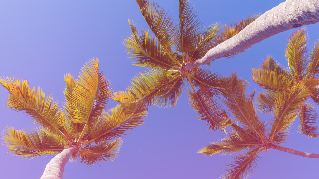 A History of Synthwave Smartsound Cloud